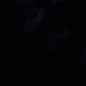 Meet your Posher, Janaya